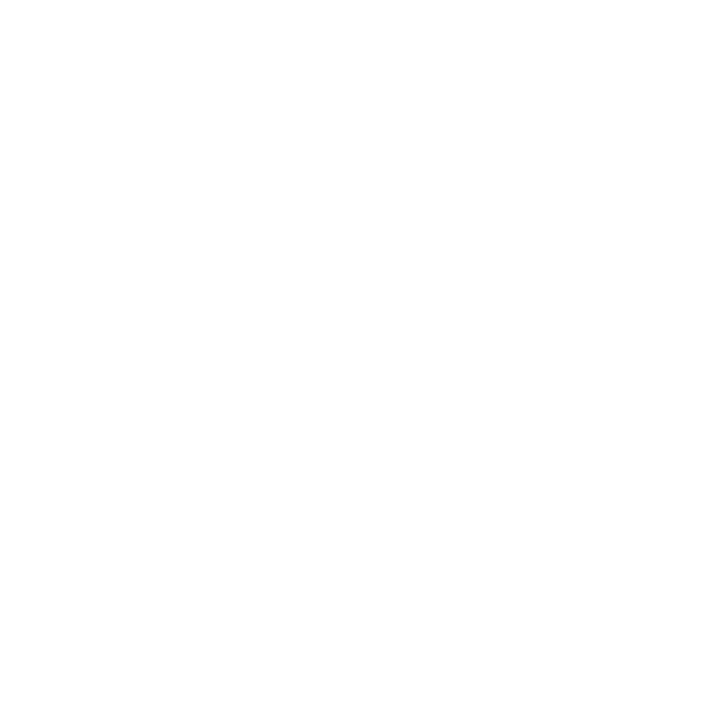 cv-icon